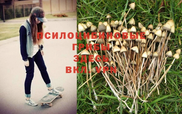 гидра Армянск