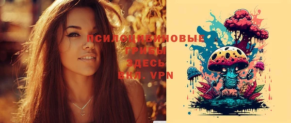 ешки Аркадак