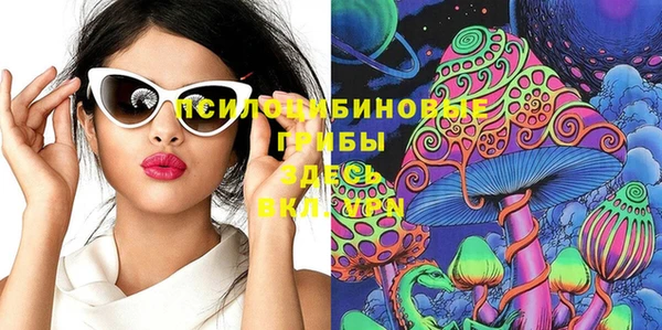 хмурый Алексеевка