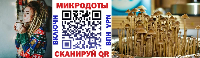 кракен сайт  даркнет клад  Псилоцибиновые грибы мухоморы  Лахденпохья 